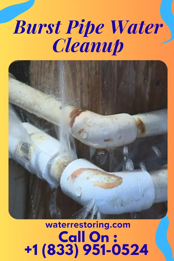 Burst Pipe Water Cleanup in New Galilee, PA
