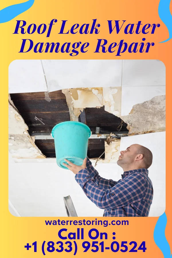 Roof Leak Water Damage Repair in New Galilee, PA