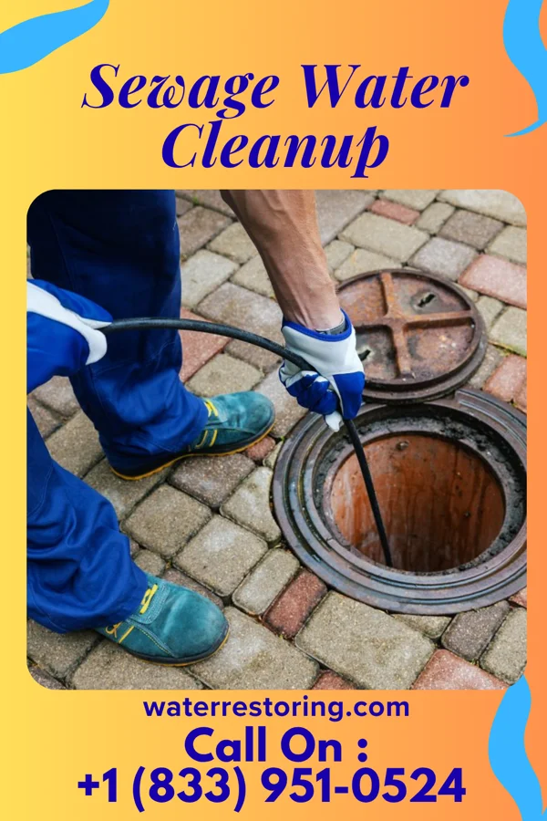 Sewage Water Cleanup in New Galilee, PA