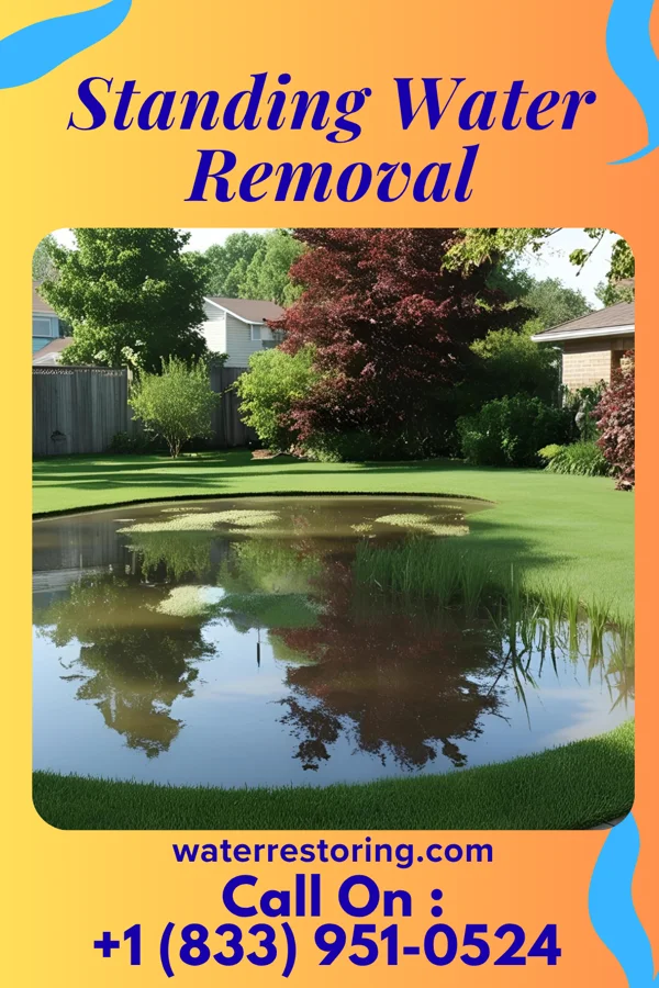 Standing Water Removal in New Galilee, PA
